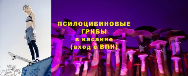 ПСИЛОЦИБИНОВЫЕ ГРИБЫ Баксан