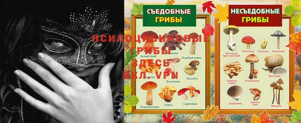 тгк Балахна