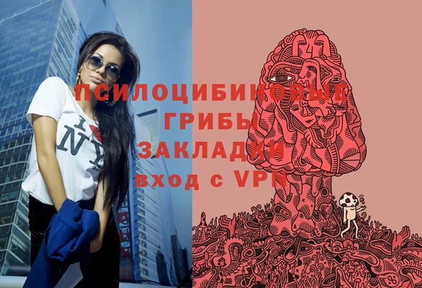 a pvp Няндома