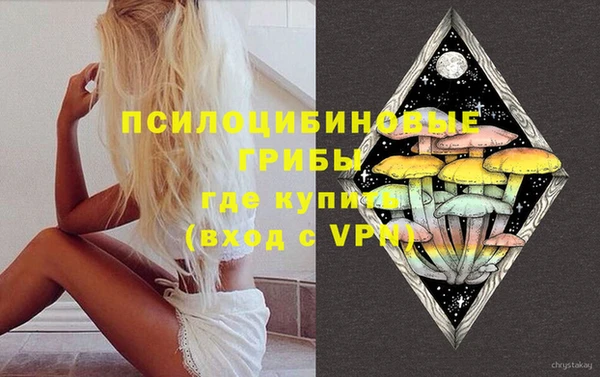 ПСИЛОЦИБИНОВЫЕ ГРИБЫ Баксан