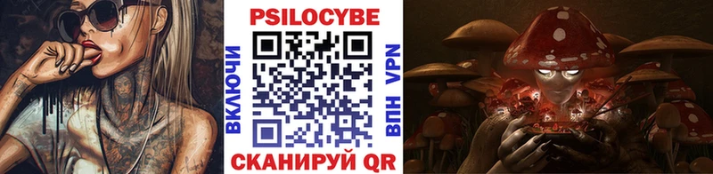 Псилоцибиновые грибы Psilocybine cubensis  как найти закладки  мега сайт  Чулым 