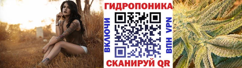 Шишки марихуана индика  дарнет шоп  МЕГА как войти  Чулым 